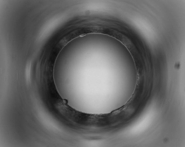 X0000103300190200808291414