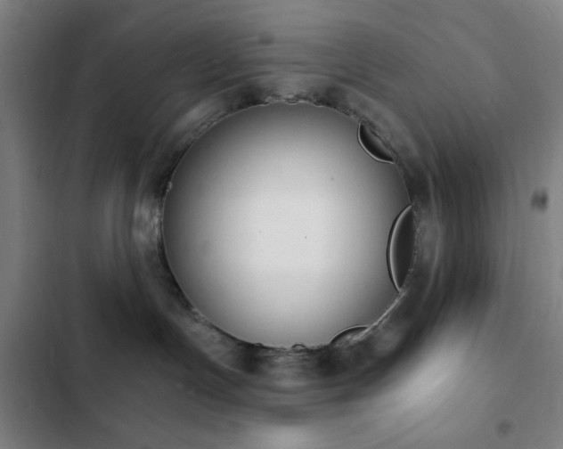 X0000103300191200808291414