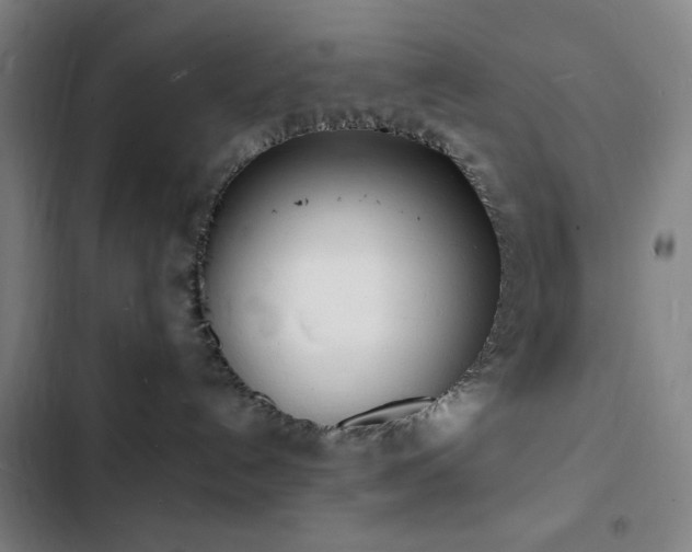 X0000103300192200808291414