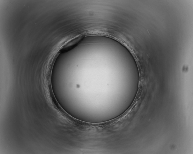 X0000103300193200808291413