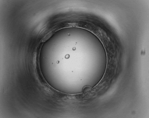 X0000103300194200808291413