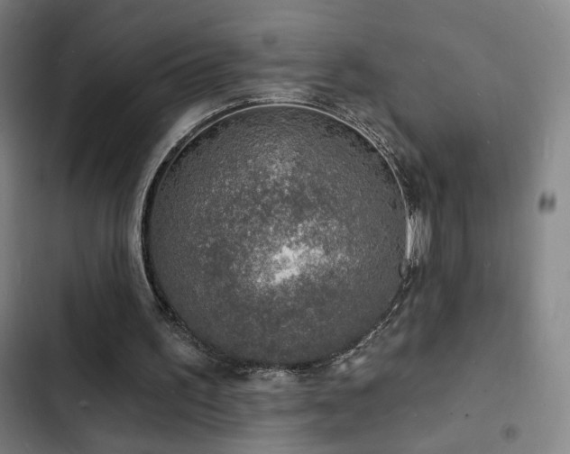 X0000103300195200808291413