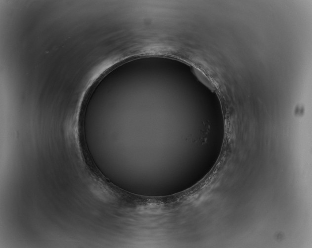 X0000103300196200808291413