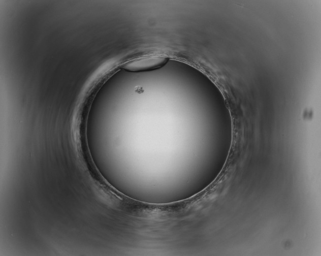 X0000103300197200808291413