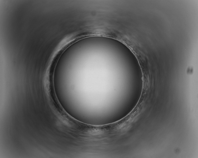 X0000103300198200808291413