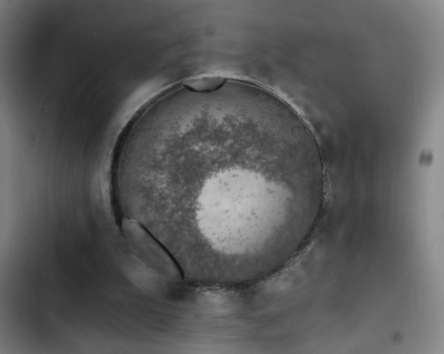 X0000103300199200808291413