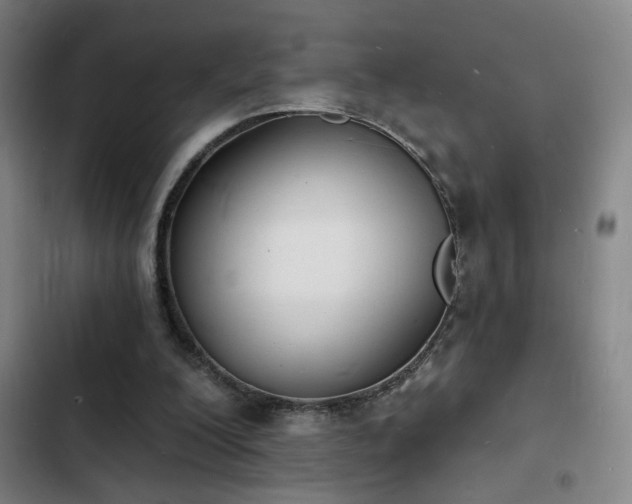 X0000103300200200808291413