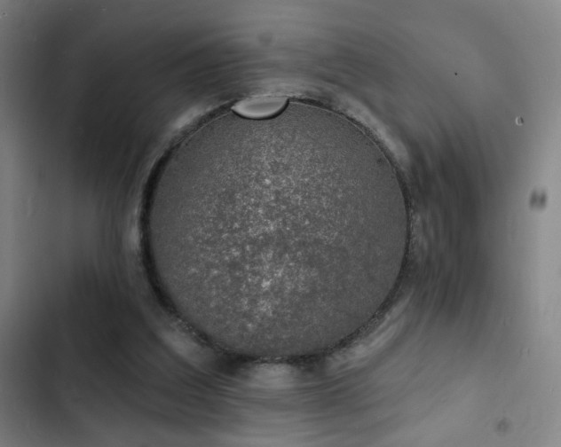 X0000103300203200808291413