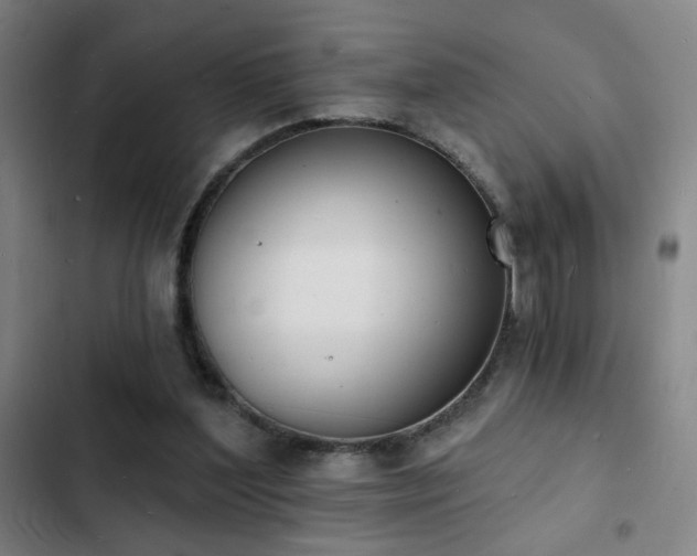 X0000103300204200808291413