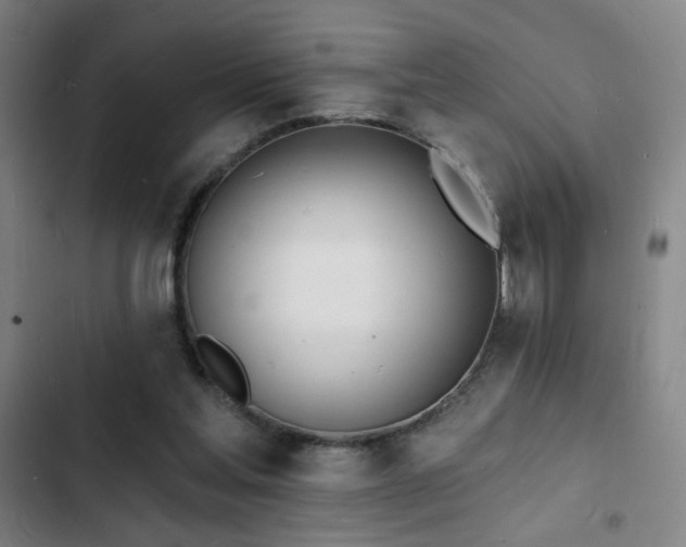 X0000103300205200808291413