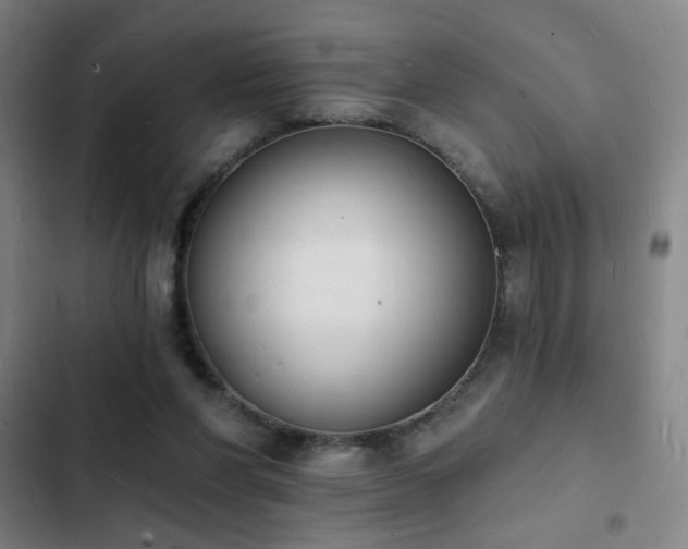 X0000103300206200808291413