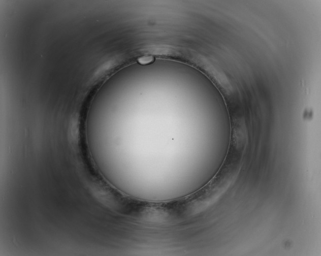 X0000103300207200808291413