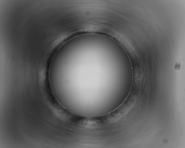 X0000103300208200808291413