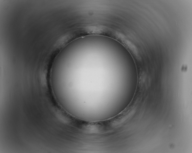 X0000103300209200808291413