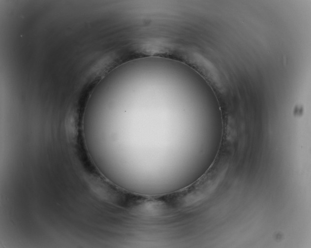 X0000103300210200808291413