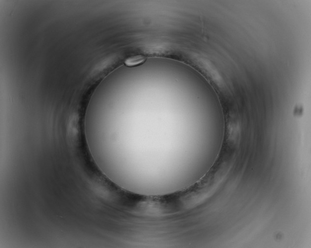 X0000103300211200808291413