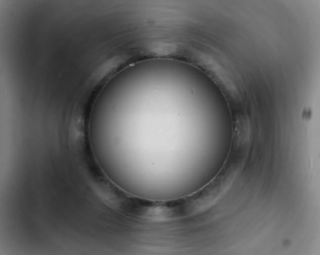 X0000103300212200808291413