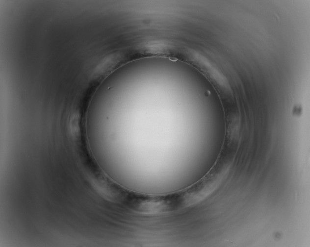 X0000103300213200808291413