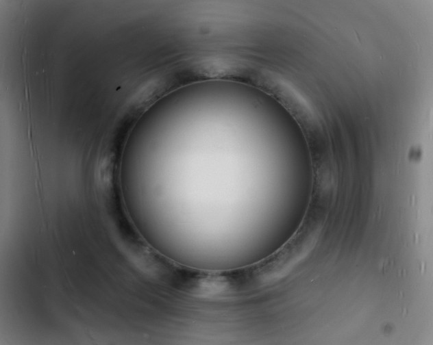 X0000103300214200808291413