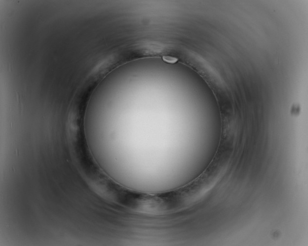 X0000103300215200808291413