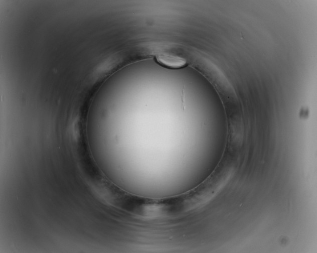 X0000103300216200808291413