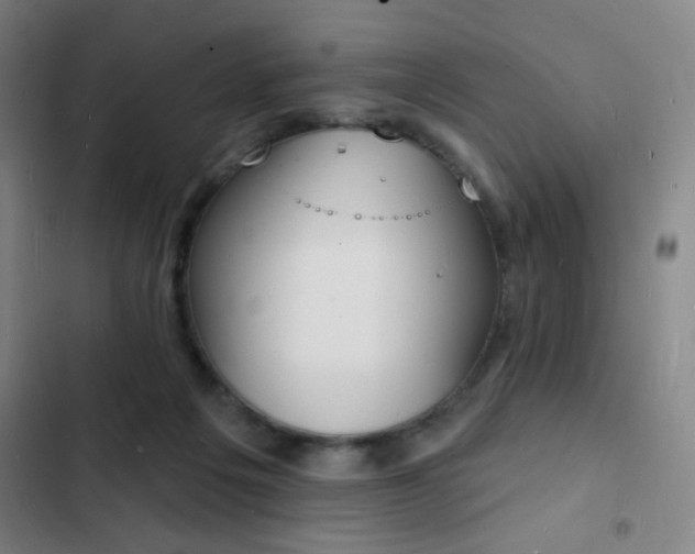 X0000103300217200808291413