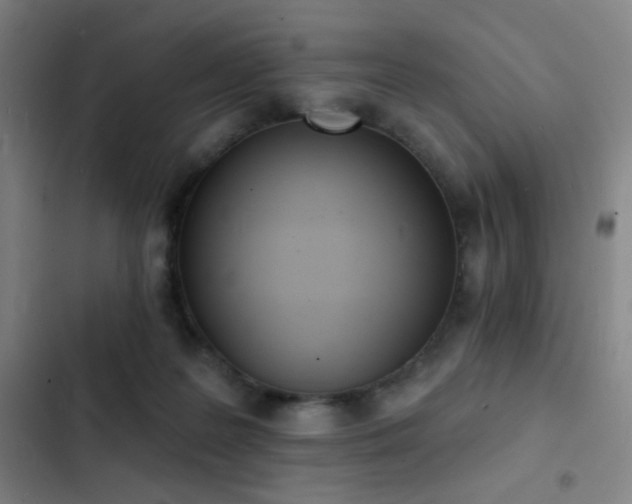 X0000103300219200808291413