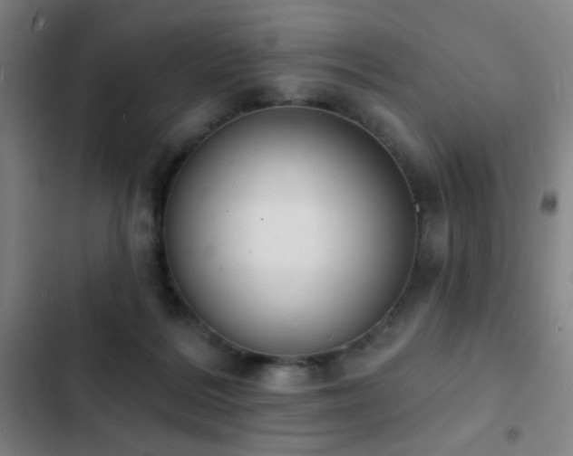 X0000103300220200808291413