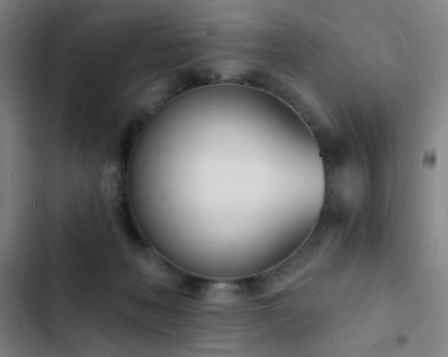 X0000103300222200808291413