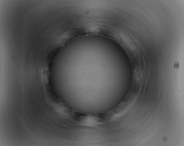 X0000103300223200808291413