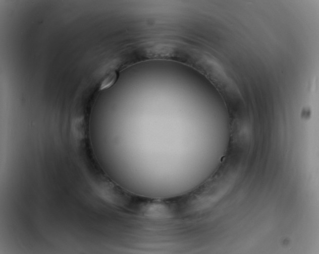 X0000103300224200808291413