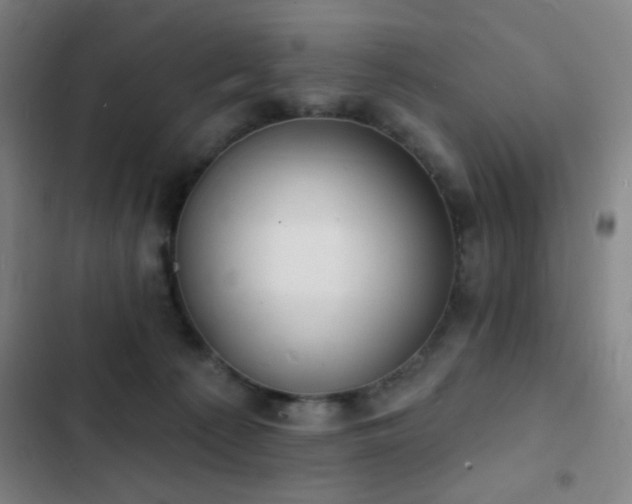 X0000103300225200808291413