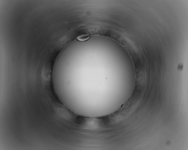 X0000103300226200808291413