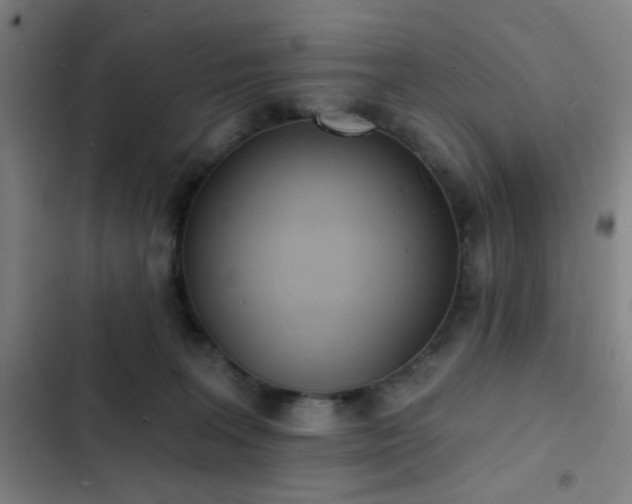 X0000103300227200808291413