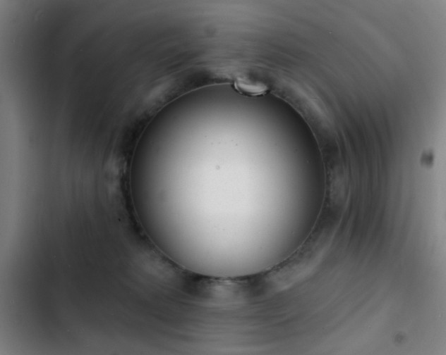 X0000103300229200808291413