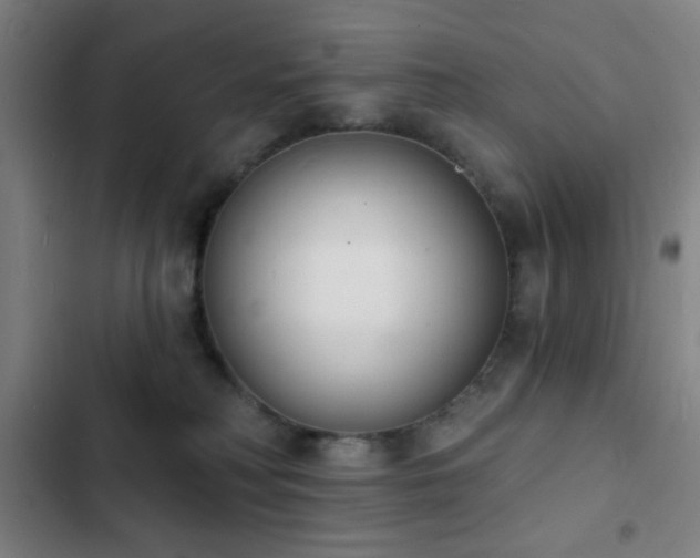 X0000103300230200808291413