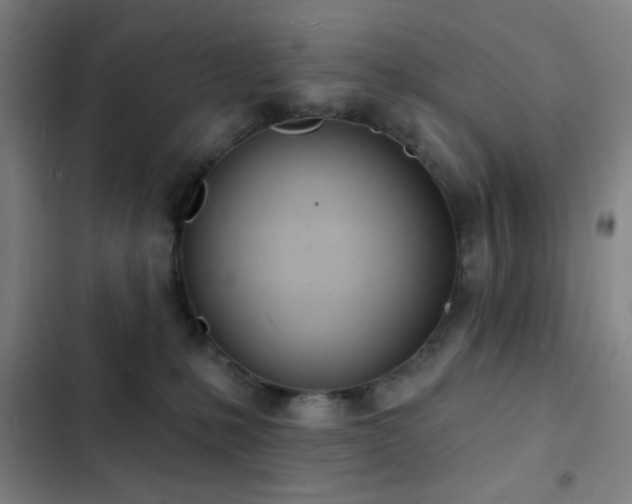 X0000103300231200808291413