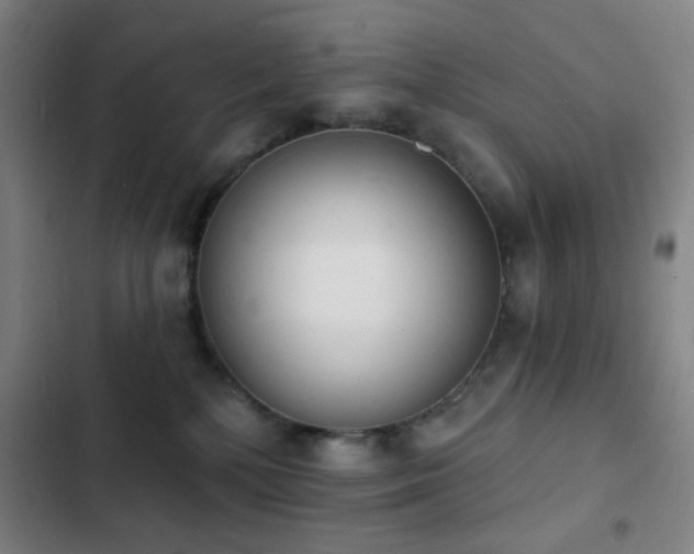 X0000103300232200808291413