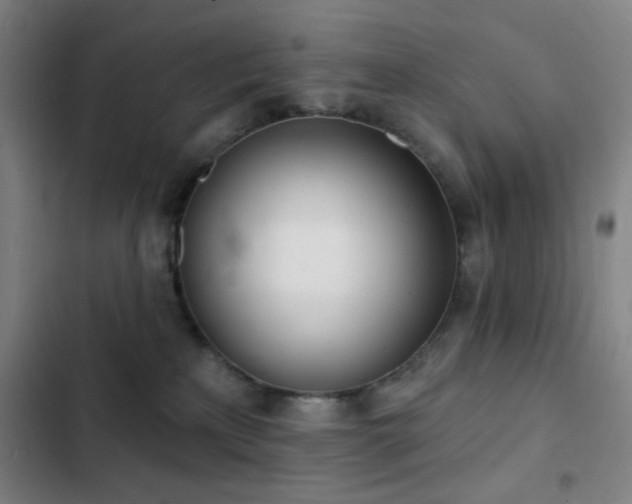 X0000103300233200808291413