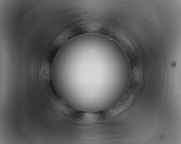 X0000103300234200808291413