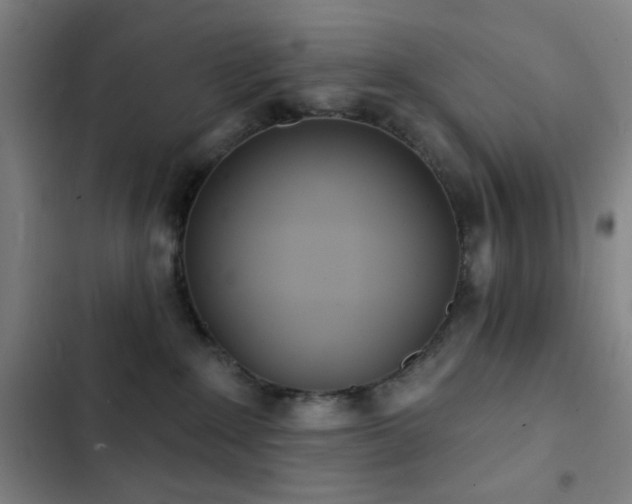 X0000103300235200808291413