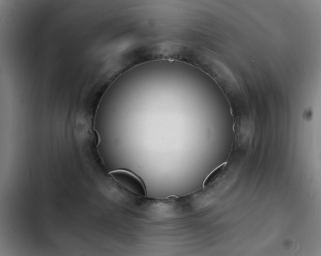 X0000103300236200808291413