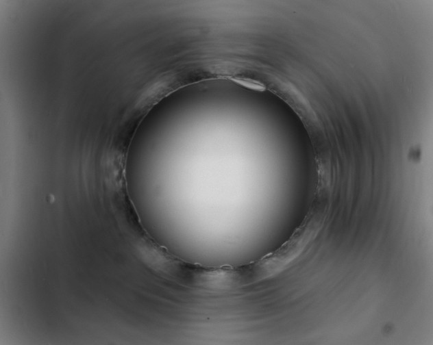 X0000103300237200808291413