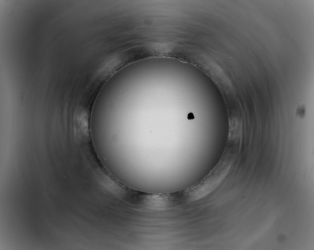 X0000103300238200808291412