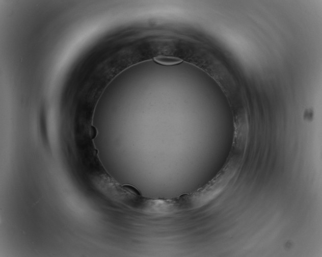 X0000103300239200808291412