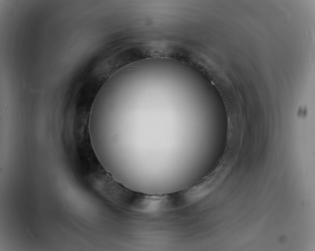 X0000103300240200808291412