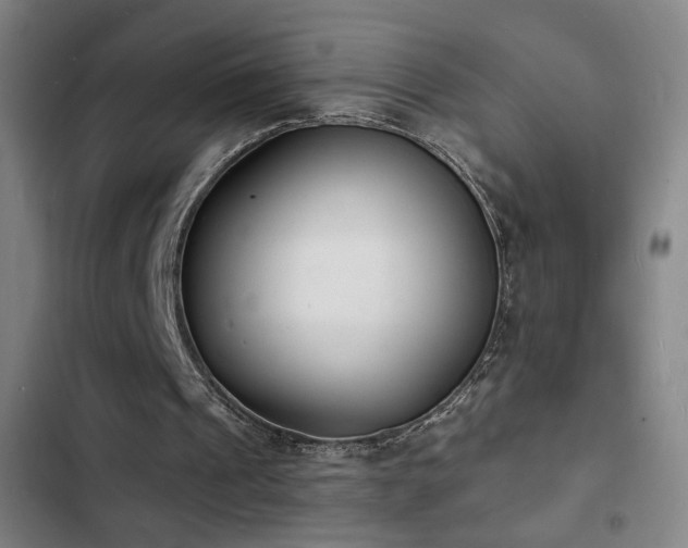 X0000103300241200808291412