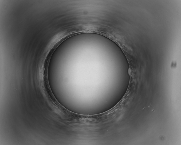 X0000103300242200808291412