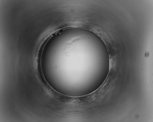 X0000103300243200808291412