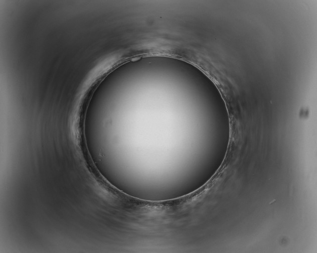 X0000103300245200808291412